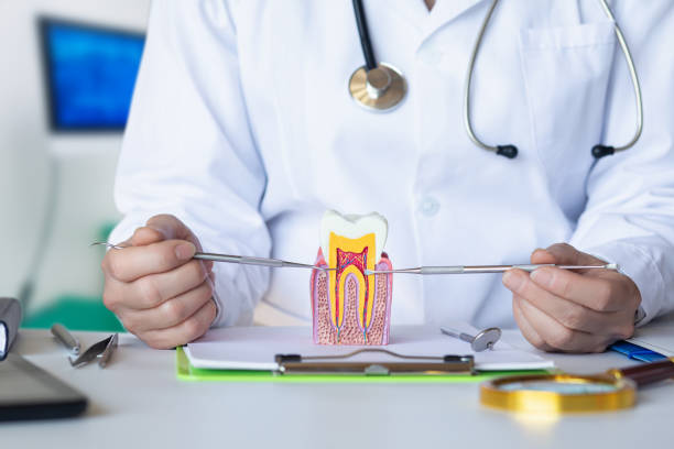 Best After-Hours Emergency Dentist in Crofton, MD